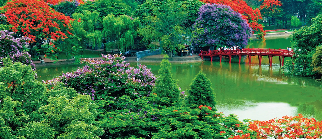 Vietnam-home-page-image-3